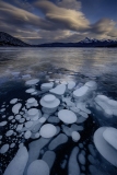 Methane Bubbles Frozen in Abraham Lake, Canadian Rockies
