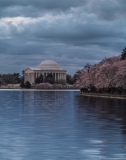 Jefferson Memorial and Tidal Basin During Cherry Blossom Festival
