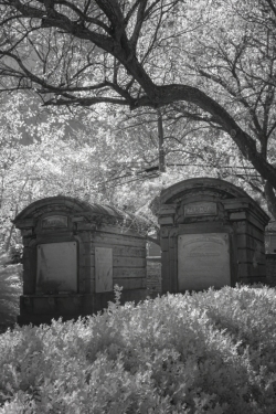 Lafayette Cemetery No. 1,  Garden District, Uptown (Infrared)