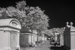 Lafayette Cemetery No. 1,  Garden District, Uptown, (Infrared)