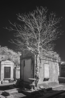 Tree Growing out of Tomb, Lafayette Cemetery No. 1,  Garden District, Uptown (Infrared)