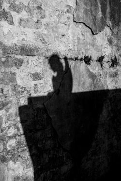 Angel's Shadow, St Louis Cemetery No. 1, French Quarter