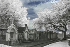 Tombs and Live Oaks, Metairie Cemetery (Infrared)