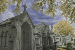 Tombs and Live Oaks, Metairie Cemetery (Infrared)