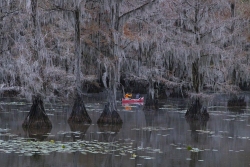 Caddo Lake State Park