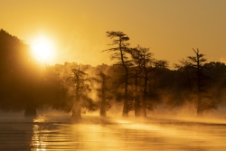 Caddo Lake Sunrise