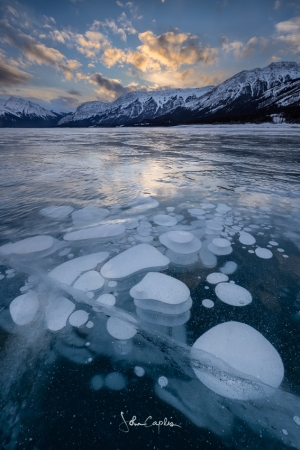 Frozen bubbles and ice cracks at sunset