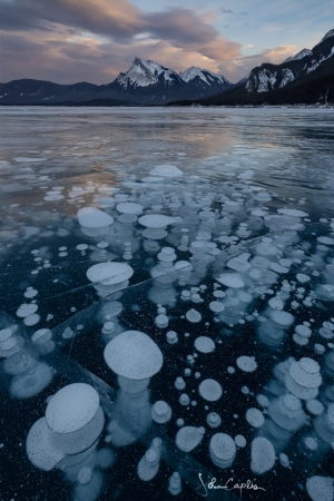 Frozen bubbles during the golden hour