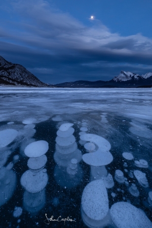 Frozen bubbles in moonlight