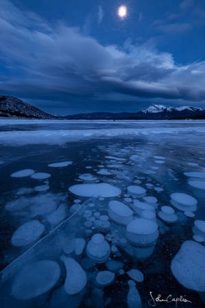 Frozen bubbles in moonlight