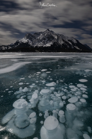 Frozen bubbles in moonlight in front of Mount Michener