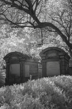 Lafayette Cemetery No. 1, New Orleans, Louisiana