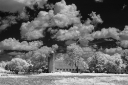 Farm, Nokesville, Virginia