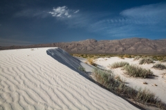 Salt Basin Dunes, Guadalupe Mountains NP