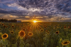 Crazy skies and sunburst.