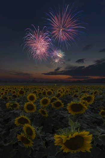 Consecutive colorful bursts.  (f13, 9.5 and 12 sec, ISO 100)