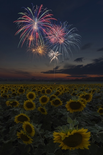 Consecutive colorful bursts!  ( (f13, 16  and 9 Seconds, ISO 100)