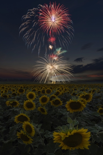 A premature firework burst showers the ground.  (f13, 20 Seconds, ISO 100)