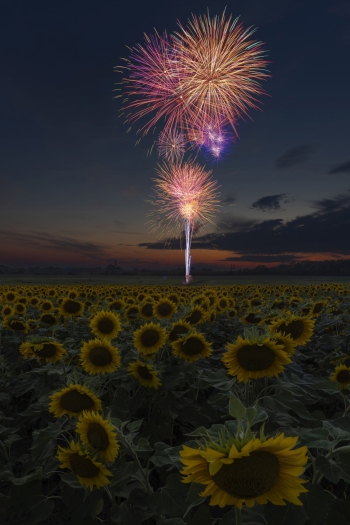 Fireworks finale shot.   (f13, 3.7 sec, ISO 100)