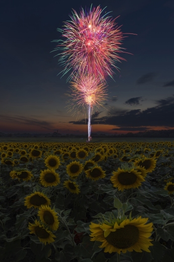 A glowing mass of color during the fireworks finale.   (f13, 2 Seconds, ISO 100)