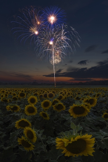 Interesting blue bursts of color,  (f13, 12 sec, ISO 100)