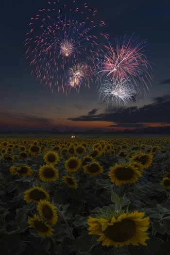 Two consecutive exposures of colorful bursts.  (f13, 12 and 14 sec, ISO 100)