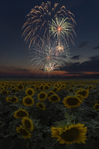 Big Golden Streamers!  (f13, 9.5 sec, ISO 100)