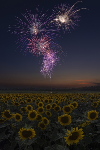 Interesting bursts of purple!   (f11, 7 sec, and f13, 10 and `5 sec, ISO 100)