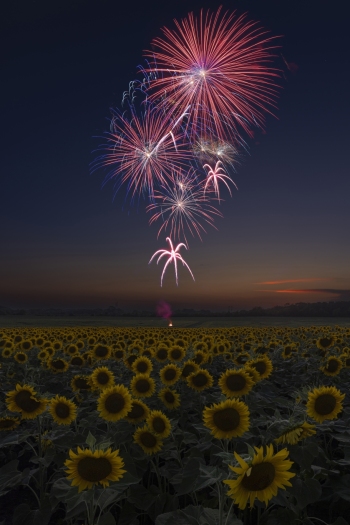 Beautiful red bursts!  (f13, 12 and 13 sec, ISO 100)