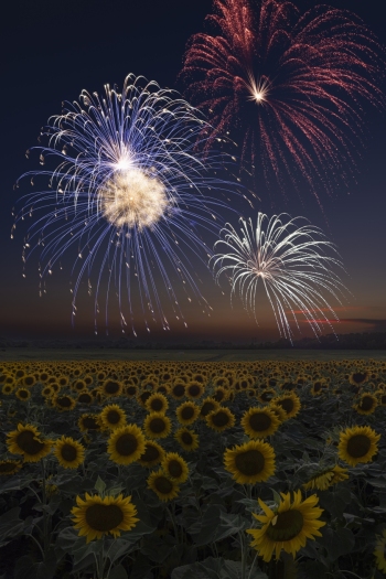 Patriotic bursts of color! (f8, 6 sec and f13, 8.5 sec, ISO 100)