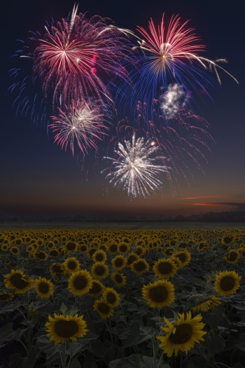 The colors of Old Glory!  (Top Left f13, 12 sec,  Top Right f8, 5 sec, Bottom f11, 6.5 sec, ISO 100)