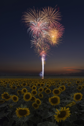 Consecutive bursts during the fireworks finale!  (f13, 2.5 and 8.5 sec, ISO 100)