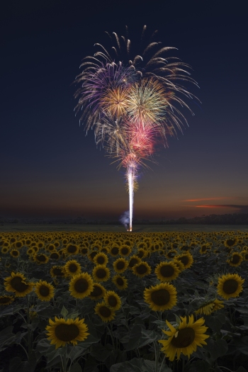 Fireworks finale!  (f13, 8.5 and 2 sec, ISO 100)