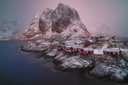 Pink Morning Sunrise in Hamnoy