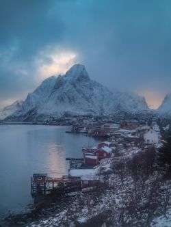 Reine