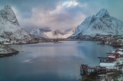 Reine