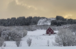 Homestead at Farstad -iphone